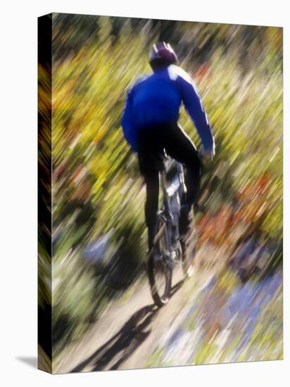 Blurred Action of Recreational Mountain Biker Riding on the Trails-null-Stretched Canvas