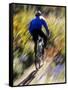 Blurred Action of Recreational Mountain Biker Riding on the Trails-null-Framed Stretched Canvas