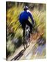 Blurred Action of Recreational Mountain Biker Riding on the Trails-null-Stretched Canvas