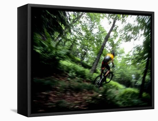 Blurred Action of Recreational Mountain Biker Riding on the Trails-null-Framed Stretched Canvas