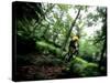 Blurred Action of Recreational Mountain Biker Riding on the Trails-null-Stretched Canvas