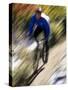 Blurred Action of Recreational Mountain Biker Riding on the Trails-null-Stretched Canvas