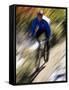 Blurred Action of Recreational Mountain Biker Riding on the Trails-null-Framed Stretched Canvas