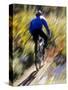 Blurred Action of Recreational Mountain Biker Riding on the Trails-null-Stretched Canvas