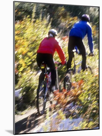 Blurred Action of Recreational Mountain Biker Riding on the Trails-null-Mounted Photographic Print