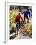 Blurred Action of Recreational Mountain Biker Riding on the Trails-null-Framed Photographic Print