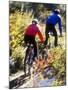 Blurred Action of Recreational Mountain Biker Riding on the Trails-null-Mounted Photographic Print