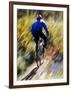 Blurred Action of Recreational Mountain Biker Riding on the Trails-null-Framed Photographic Print