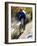 Blurred Action of Recreational Mountain Biker Riding on the Trails-null-Framed Photographic Print