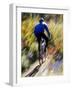 Blurred Action of Recreational Mountain Biker Riding on the Trails-null-Framed Photographic Print