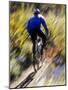 Blurred Action of Recreational Mountain Biker Riding on the Trails-null-Mounted Photographic Print