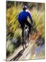 Blurred Action of Recreational Mountain Biker Riding on the Trails-null-Mounted Photographic Print