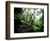 Blurred Action of Recreational Mountain Biker Riding on the Trails-null-Framed Photographic Print