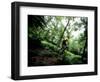 Blurred Action of Recreational Mountain Biker Riding on the Trails-null-Framed Photographic Print