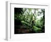 Blurred Action of Recreational Mountain Biker Riding on the Trails-null-Framed Photographic Print