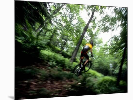 Blurred Action of Recreational Mountain Biker Riding on the Trails-null-Mounted Photographic Print