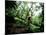 Blurred Action of Recreational Mountain Biker Riding on the Trails-null-Mounted Photographic Print