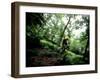 Blurred Action of Recreational Mountain Biker Riding on the Trails-null-Framed Photographic Print