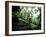 Blurred Action of Recreational Mountain Biker Riding on the Trails-null-Framed Photographic Print