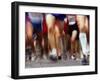 Blurred Action of Runner's Legs Competing in a Race, New York, New York, USA-Chris Trotman-Framed Photographic Print