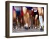 Blurred Action of Runner's Legs Competing in a Race-null-Framed Photographic Print