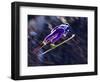 Blurred Action of Ski Jumper Flying Throught the Air-null-Framed Photographic Print