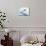 Blurred Action of Sky Jumper Flying Through the Air, Lake Placid, New York, USA-null-Mounted Photographic Print displayed on a wall