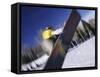 Blurred Action of Snowboarder, Aspen, Colorado, USA-null-Framed Stretched Canvas