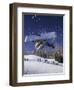 Blurred Action of Snowboarder, Aspen, Colorado, USA-null-Framed Premium Photographic Print