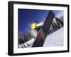 Blurred Action of Snowboarder, Aspen, Colorado, USA-null-Framed Photographic Print
