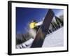 Blurred Action of Snowboarder, Aspen, Colorado, USA-null-Framed Photographic Print