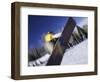 Blurred Action of Snowboarder, Aspen, Colorado, USA-null-Framed Photographic Print