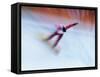 Blurred Action of Snowboarder, Nagano, Japan-null-Framed Stretched Canvas