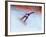 Blurred Action of Snowboarder, Nagano, Japan-null-Framed Photographic Print