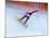 Blurred Action of Snowboarder, Nagano, Japan-null-Mounted Photographic Print