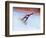 Blurred Action of Snowboarder, Nagano, Japan-null-Framed Photographic Print