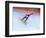 Blurred Action of Snowboarder, Nagano, Japan-null-Framed Photographic Print