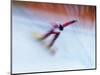 Blurred Action of Snowboarder, Nagano, Japan-null-Mounted Photographic Print