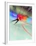 Blurred Action of Speed Skater-Paul Sutton-Framed Photographic Print