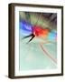 Blurred Action of Speed Skater-Paul Sutton-Framed Photographic Print