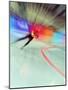 Blurred Action of Speed Skater-Paul Sutton-Mounted Photographic Print