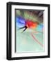 Blurred Action of Speed Skater-Paul Sutton-Framed Photographic Print