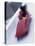 Blurred Action of the Start of 4 Man Bobsled Team, Lake Placid, New York, USA-Chris Trotman-Stretched Canvas