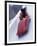 Blurred Action of the Start of 4 Man Bobsled Team, Lake Placid, New York, USA-Chris Trotman-Framed Premium Photographic Print