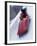 Blurred Action of the Start of 4 Man Bobsled Team, Lake Placid, New York, USA-Chris Trotman-Framed Photographic Print