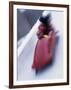 Blurred Action of the Start of 4 Man Bobsled Team, Lake Placid, New York, USA-Chris Trotman-Framed Photographic Print