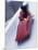 Blurred Action of the Start of 4 Man Bobsled Team, Lake Placid, New York, USA-Chris Trotman-Mounted Photographic Print