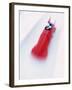 Blurred Action of Two Man Bobsled, Park City, Utah, USA-Chris Trotman-Framed Photographic Print