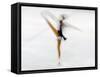 Blurred Action of Woman Figure Skater, Torino, Italy-Chris Trotman-Framed Stretched Canvas