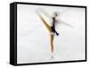 Blurred Action of Woman Figure Skater, Torino, Italy-Chris Trotman-Framed Stretched Canvas